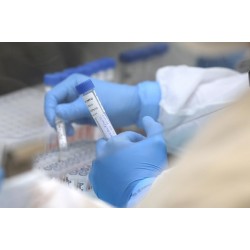 Com redução dos casos, Governo do Estado declara fim da epidemia de H3N2